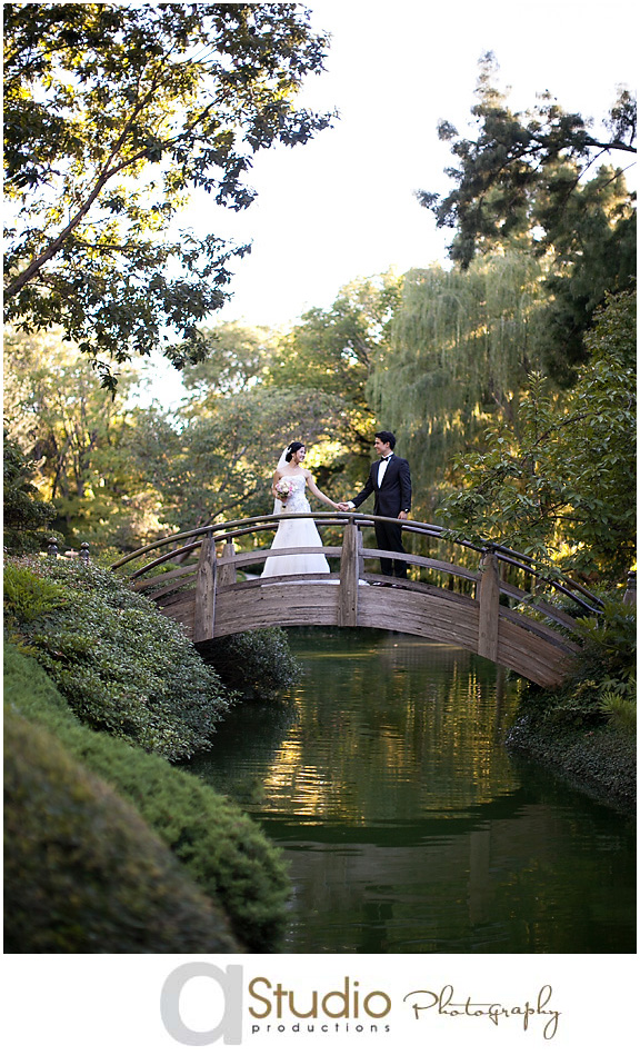 Botanical Gardens Dallas Texas Weddings Sneak Peek Angeline